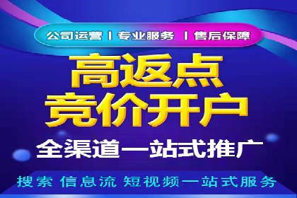 SEM竞价代运营公司案例实战指南